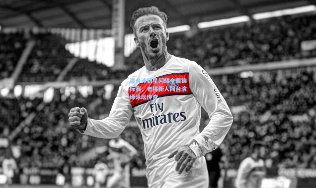 混合泳新星闪耀全国锦标赛，老将新人同台演绎泳坛传奇