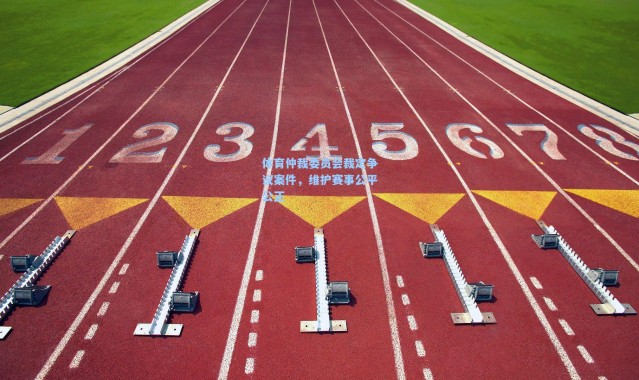 体育仲裁委员会裁定争议案件，维护赛事公平公正