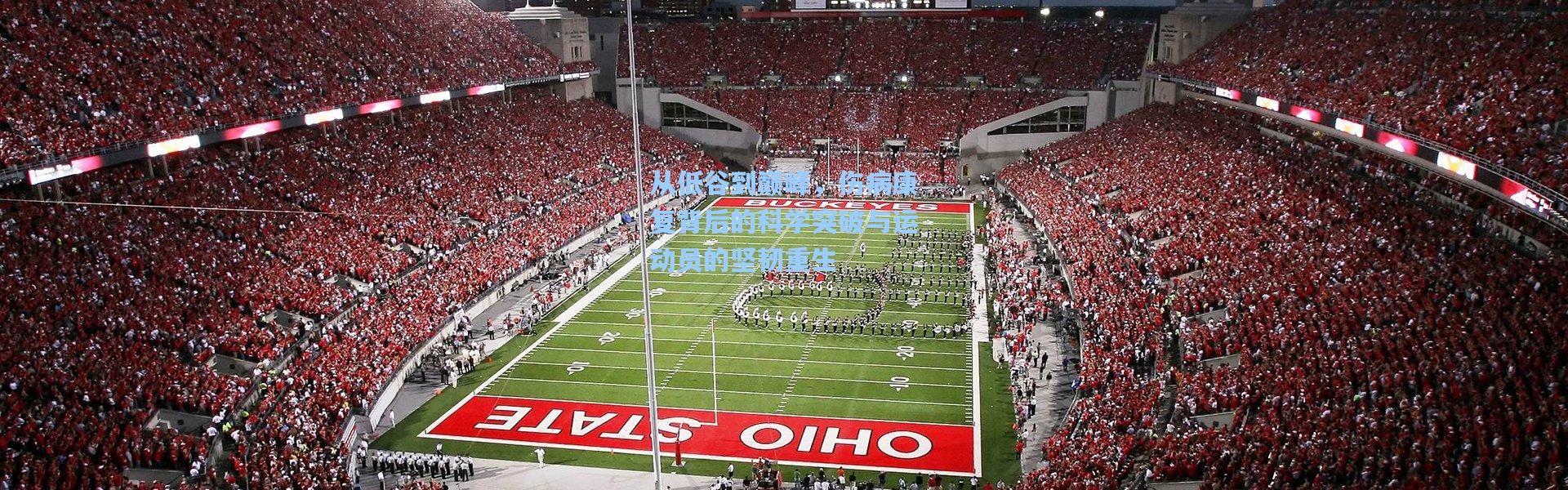 从低谷到巅峰，伤病康复背后的科学突破与运动员的坚韧重生