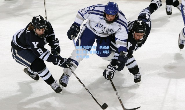 巨星伤愈归来！关键战役上演王者回归，球队士气大振