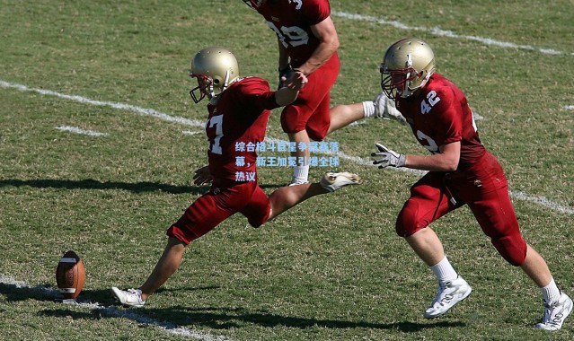 综合格斗巨星争霸赛落幕，新王加冕引爆全球热议