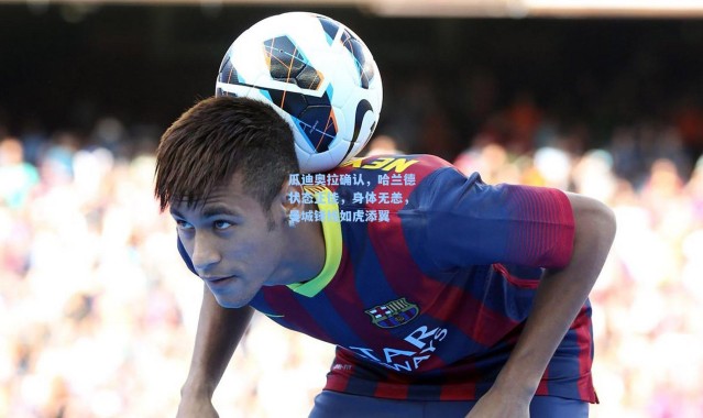 瓜迪奥拉确认，哈兰德状态正佳，身体无恙，曼城锋线如虎添翼