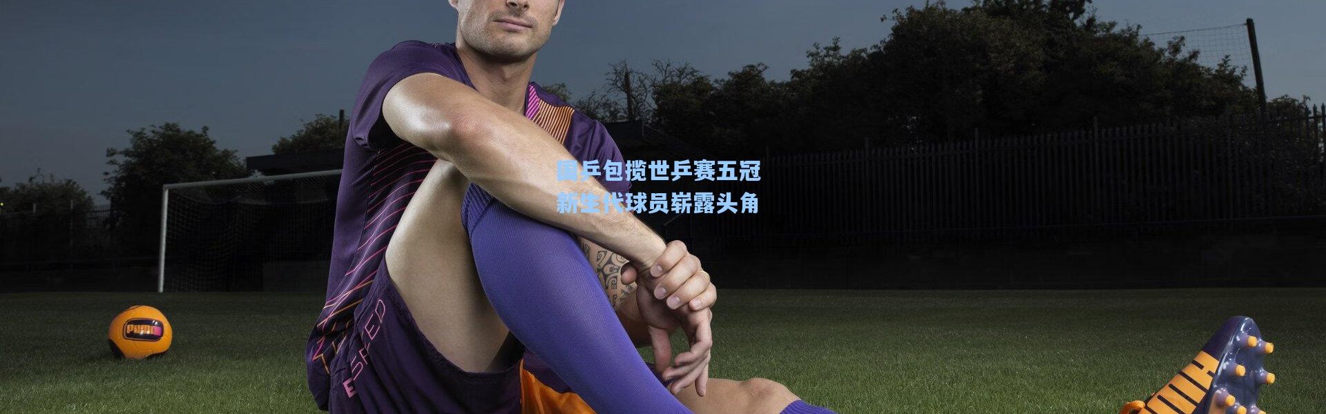 国乒包揽世乒赛五冠 新生代球员崭露头角