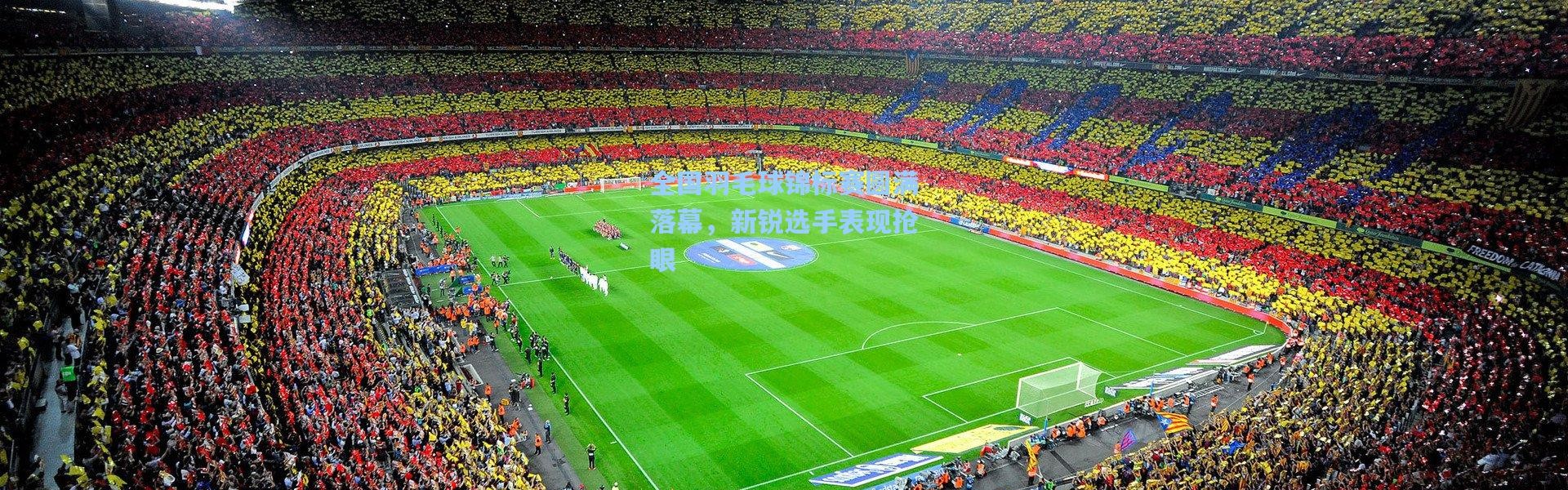 全国羽毛球锦标赛圆满落幕，新锐选手表现抢眼