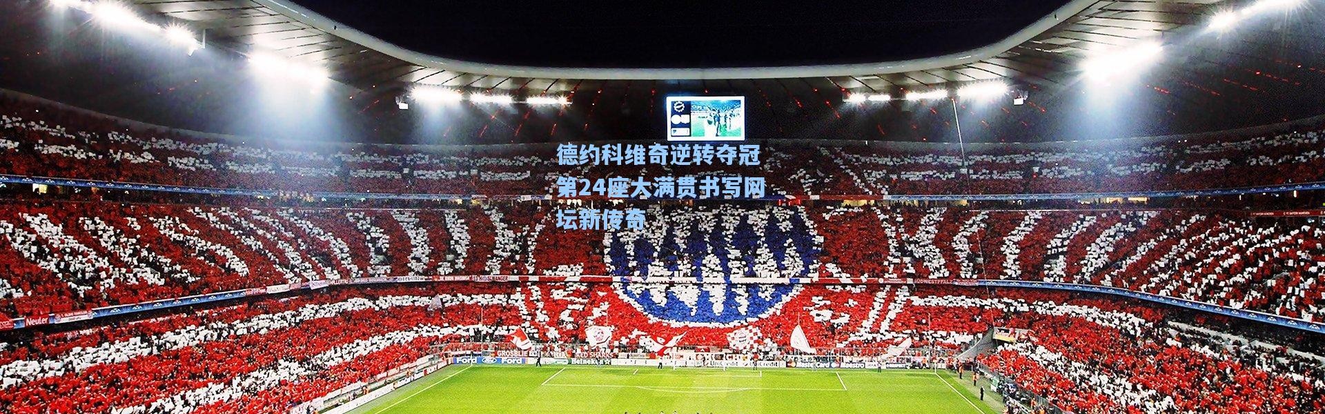 德约科维奇逆转夺冠 第24座大满贯书写网坛新传奇