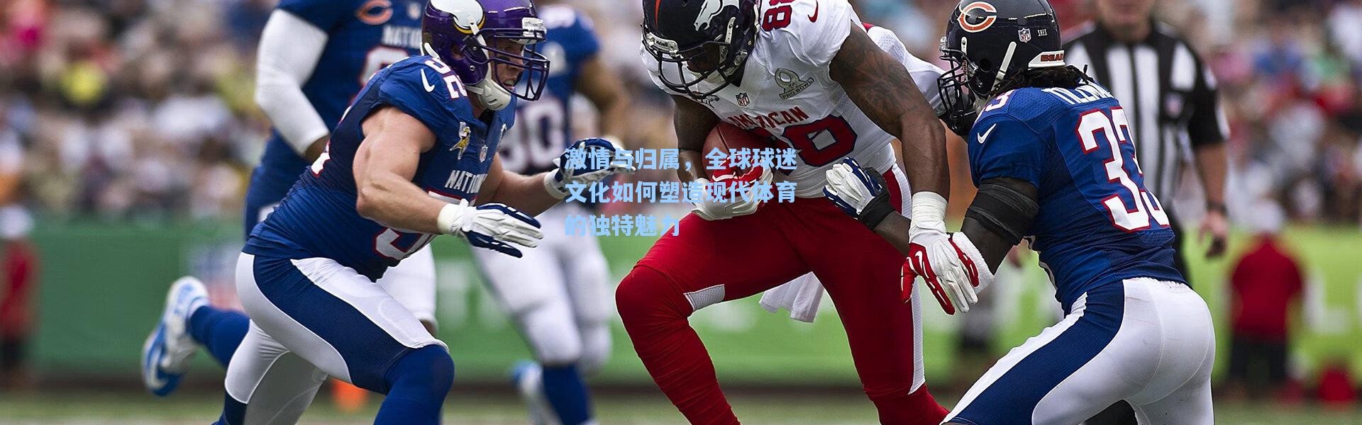 激情与归属，全球球迷文化如何塑造现代体育的独特魅力